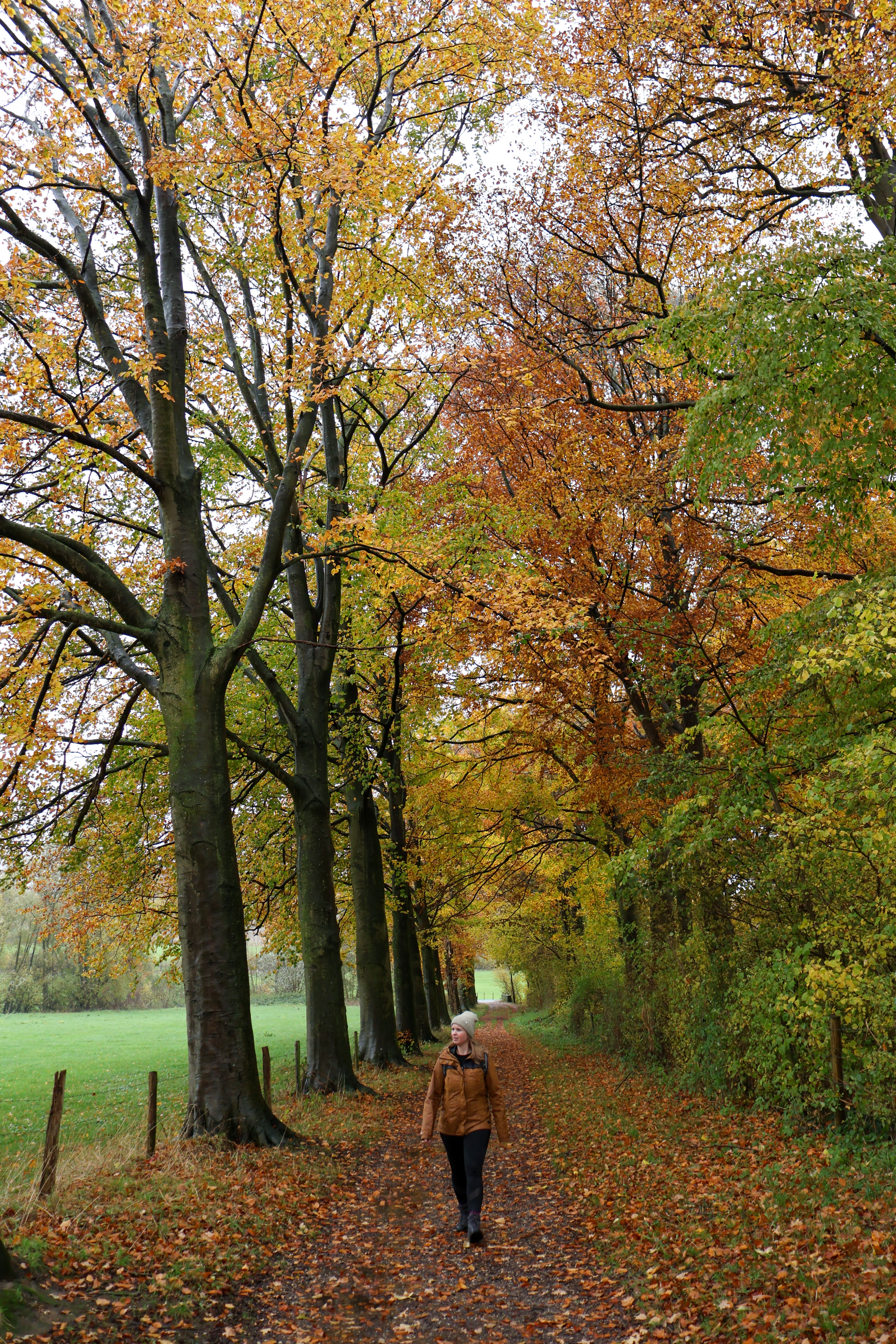 5 hotspots in Gulpen