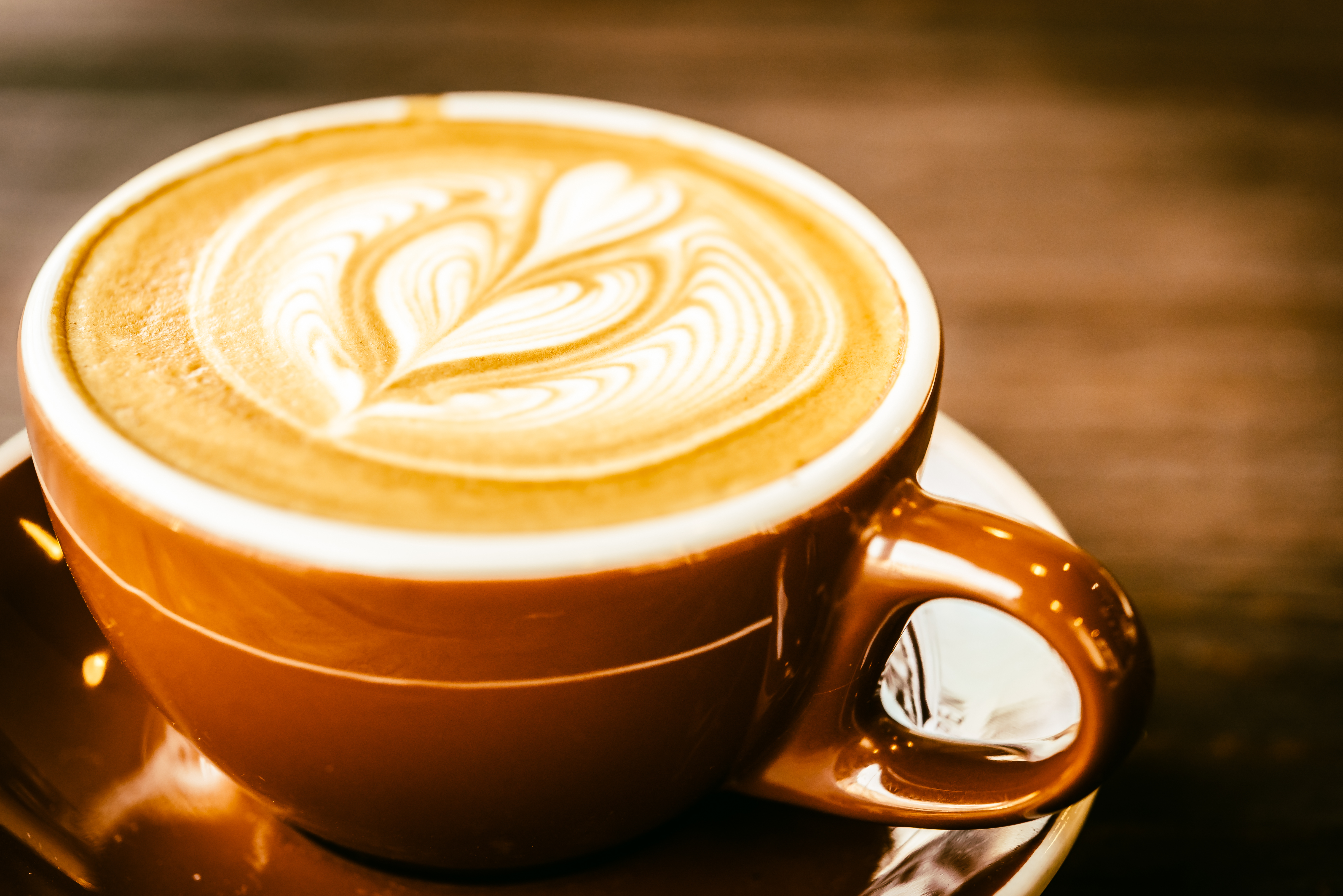 Coffee Mundo The Library Espresso & Brew Bar