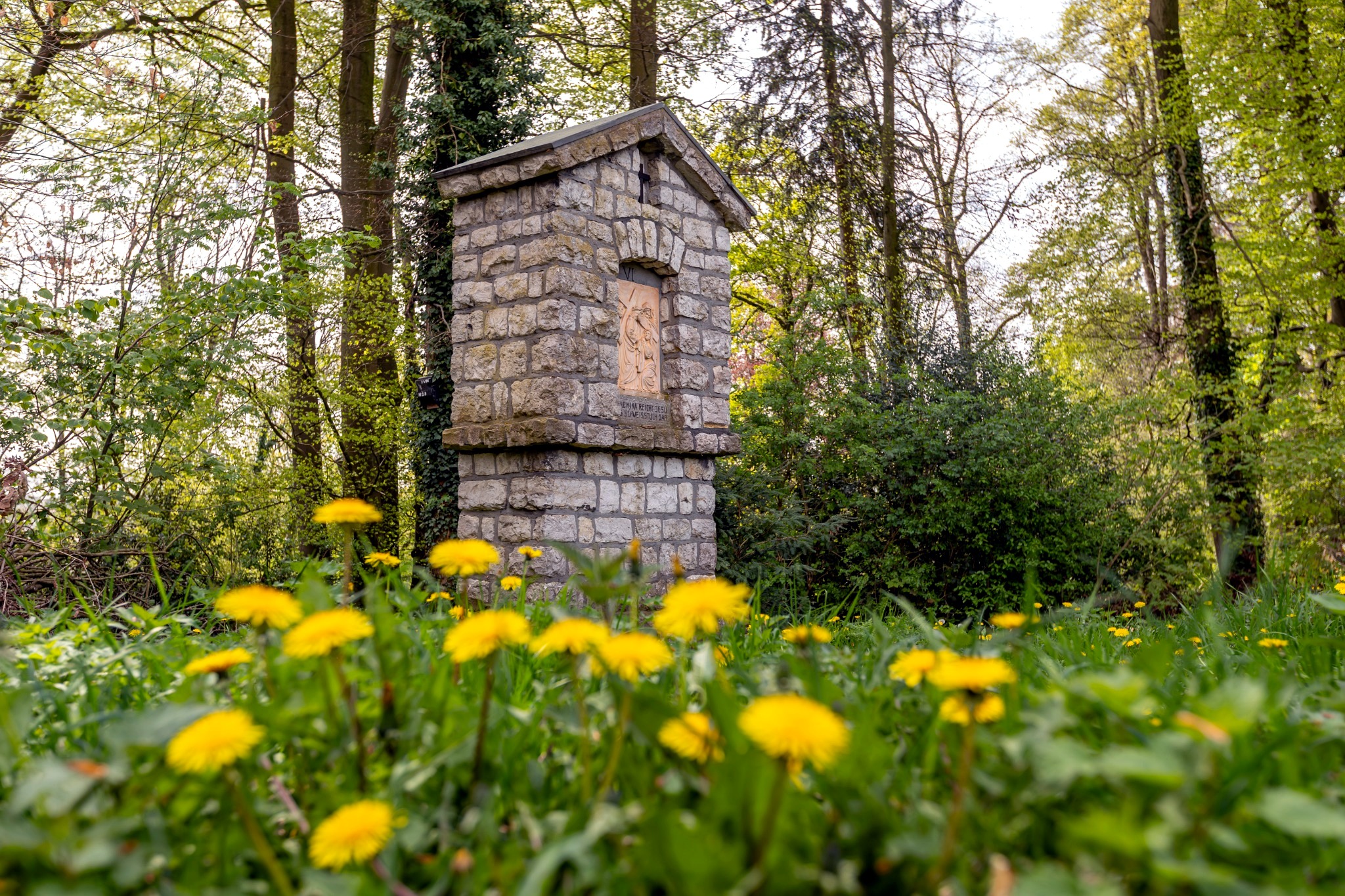 Wandelroute Clara Fey-Pad Simpelveld