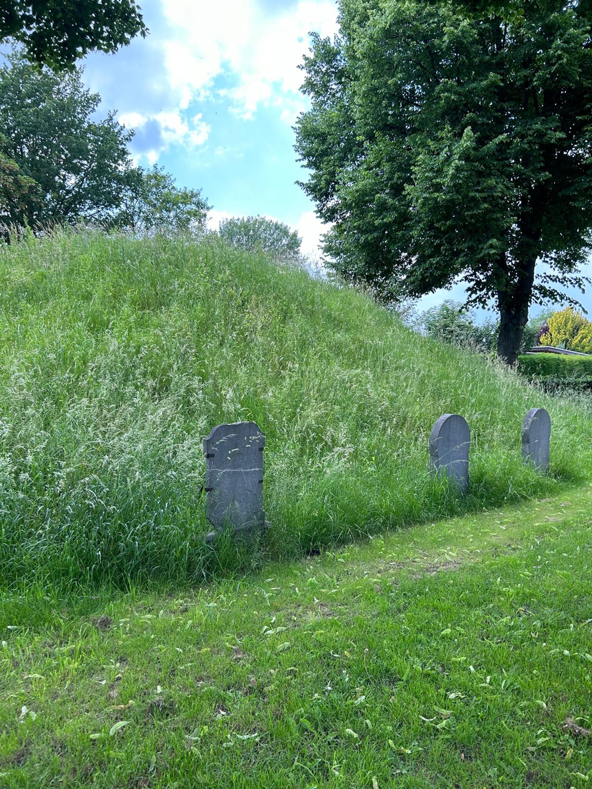 Joodse begraafplaats in Grevenbicht