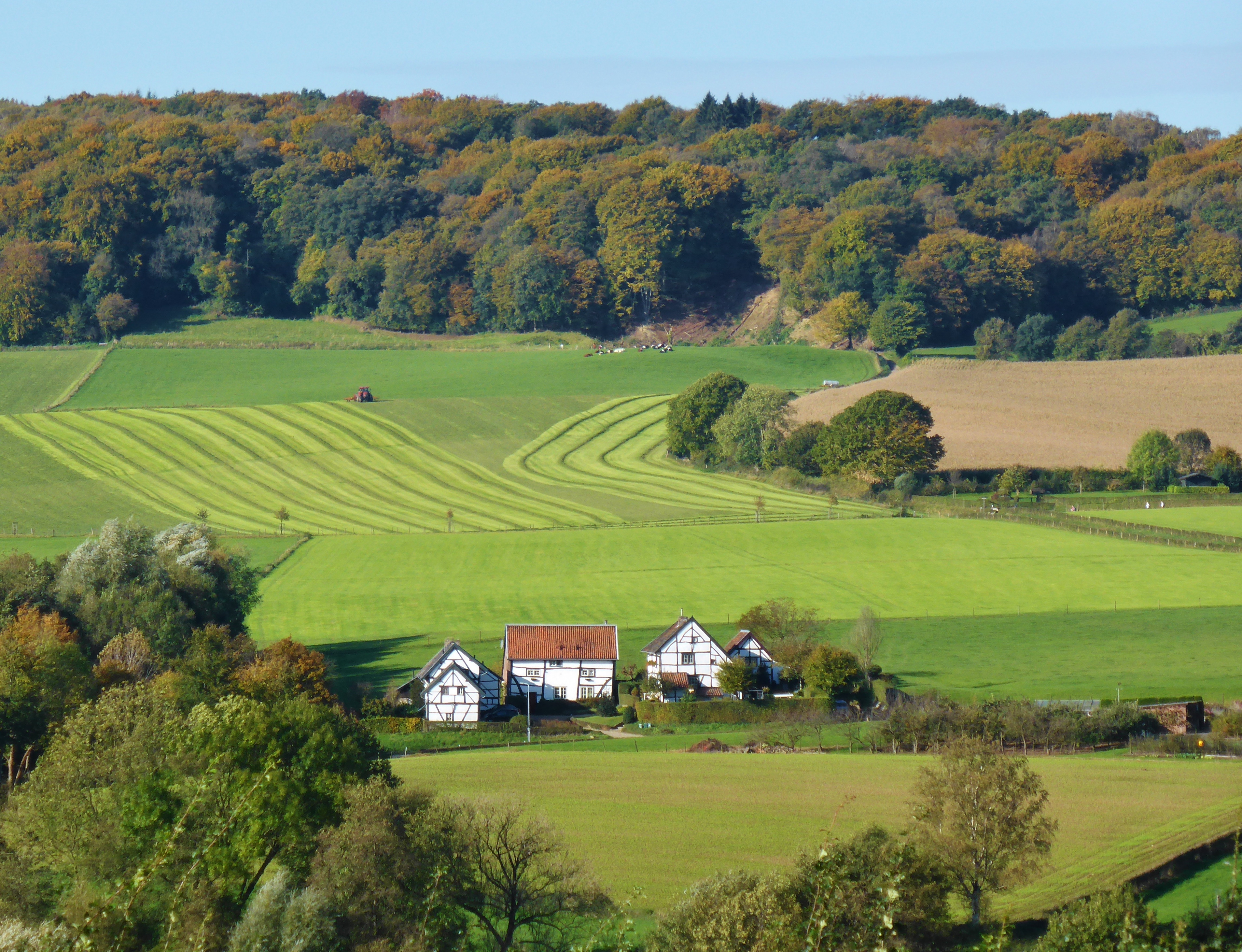 Wandelroute Van Camerig tot Cottessen 