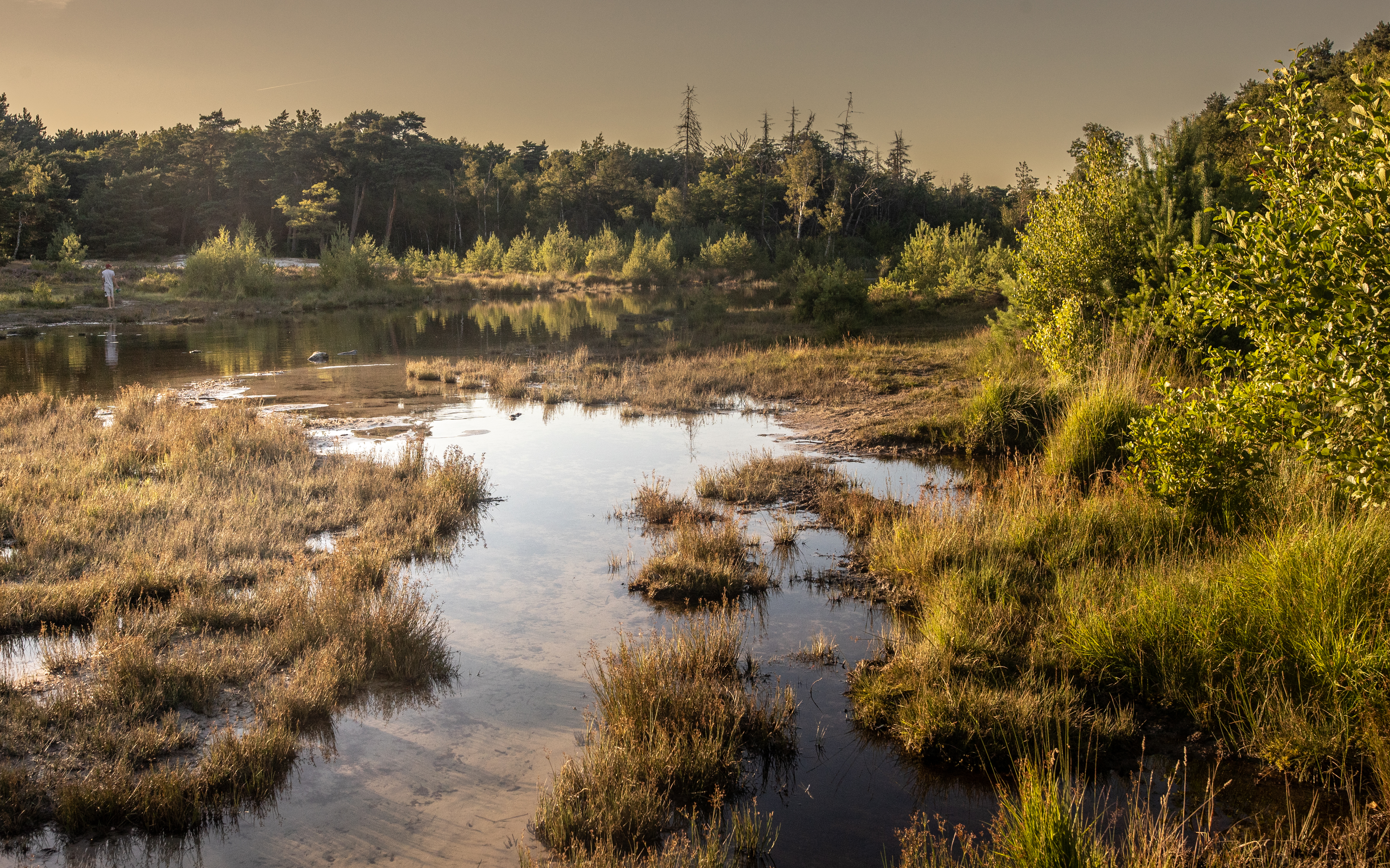 Mijn Groen Brunssum