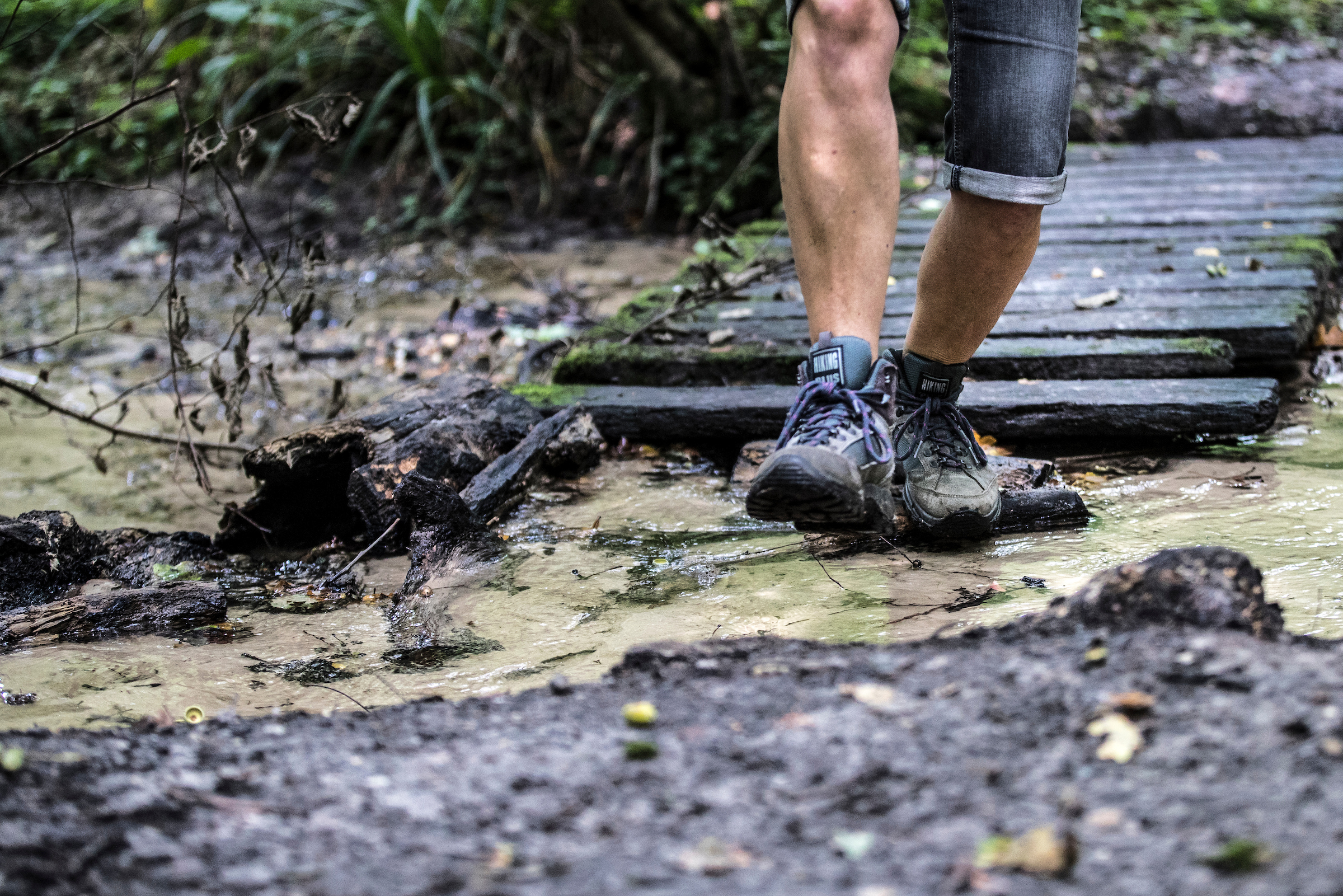 Wandelroute Bunderbos bronnenbos - Meerssen