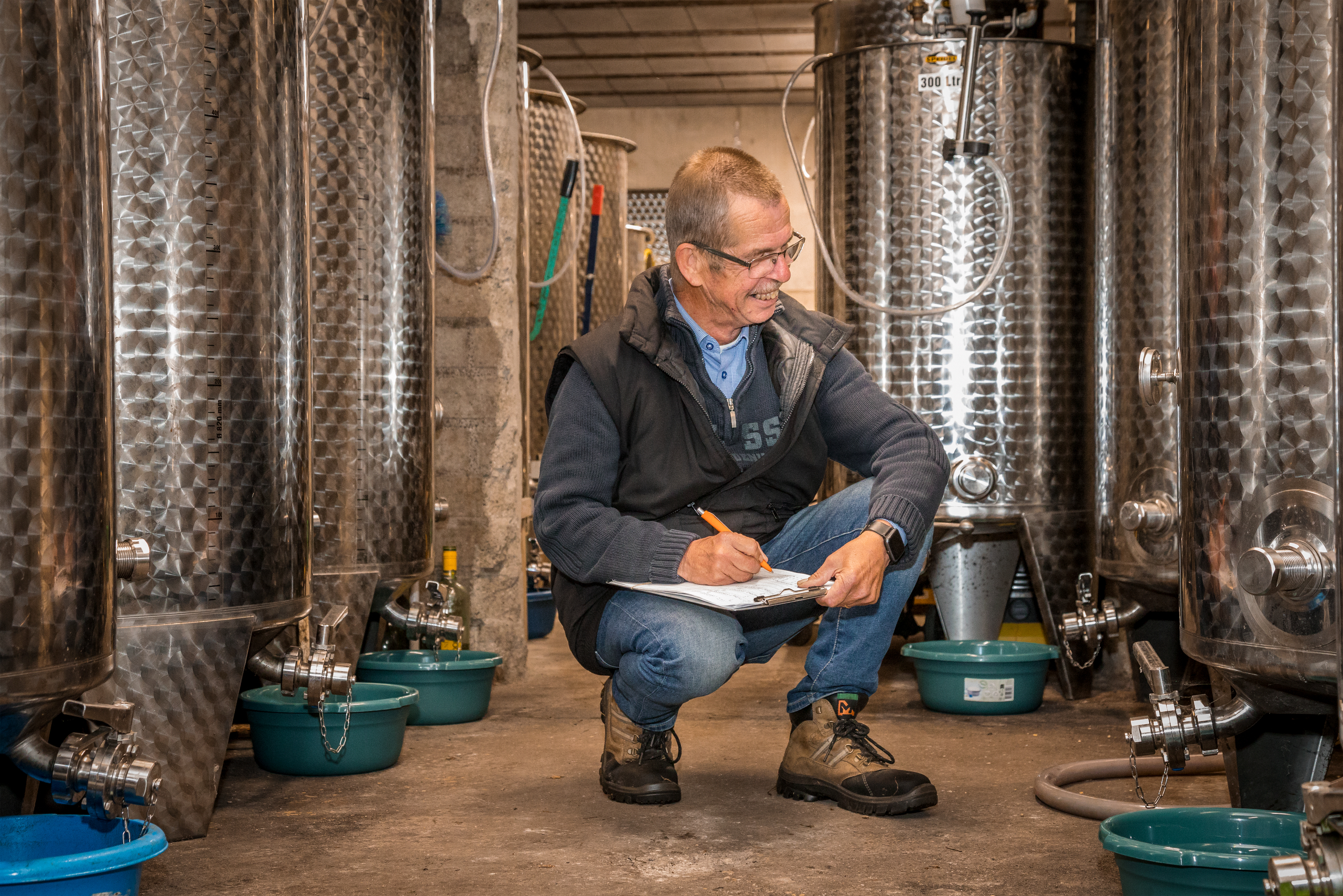 Wijngaard de Deelgaarderberg