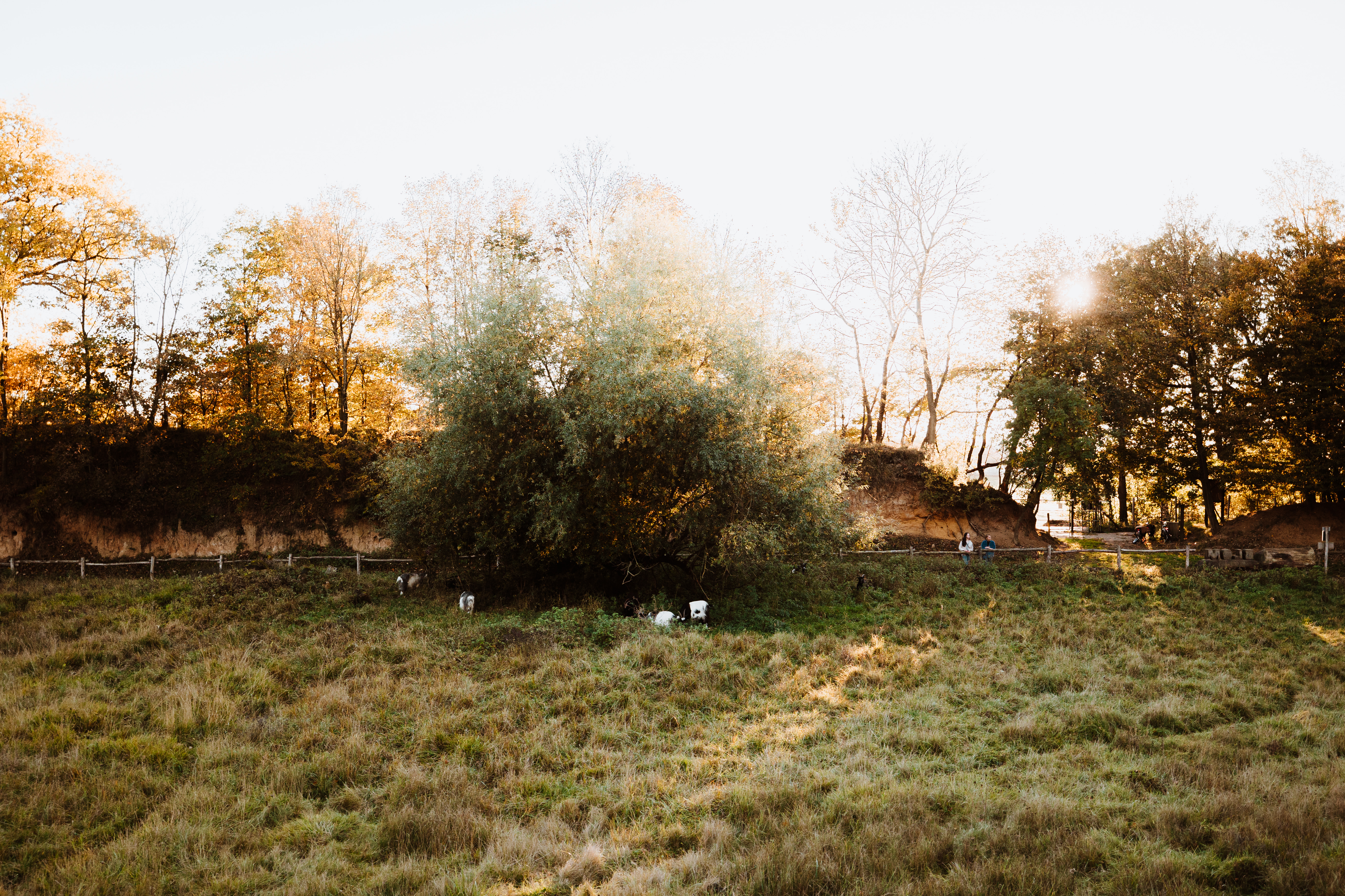 Wandelroute Langs kalkwanden en graslanden Berg