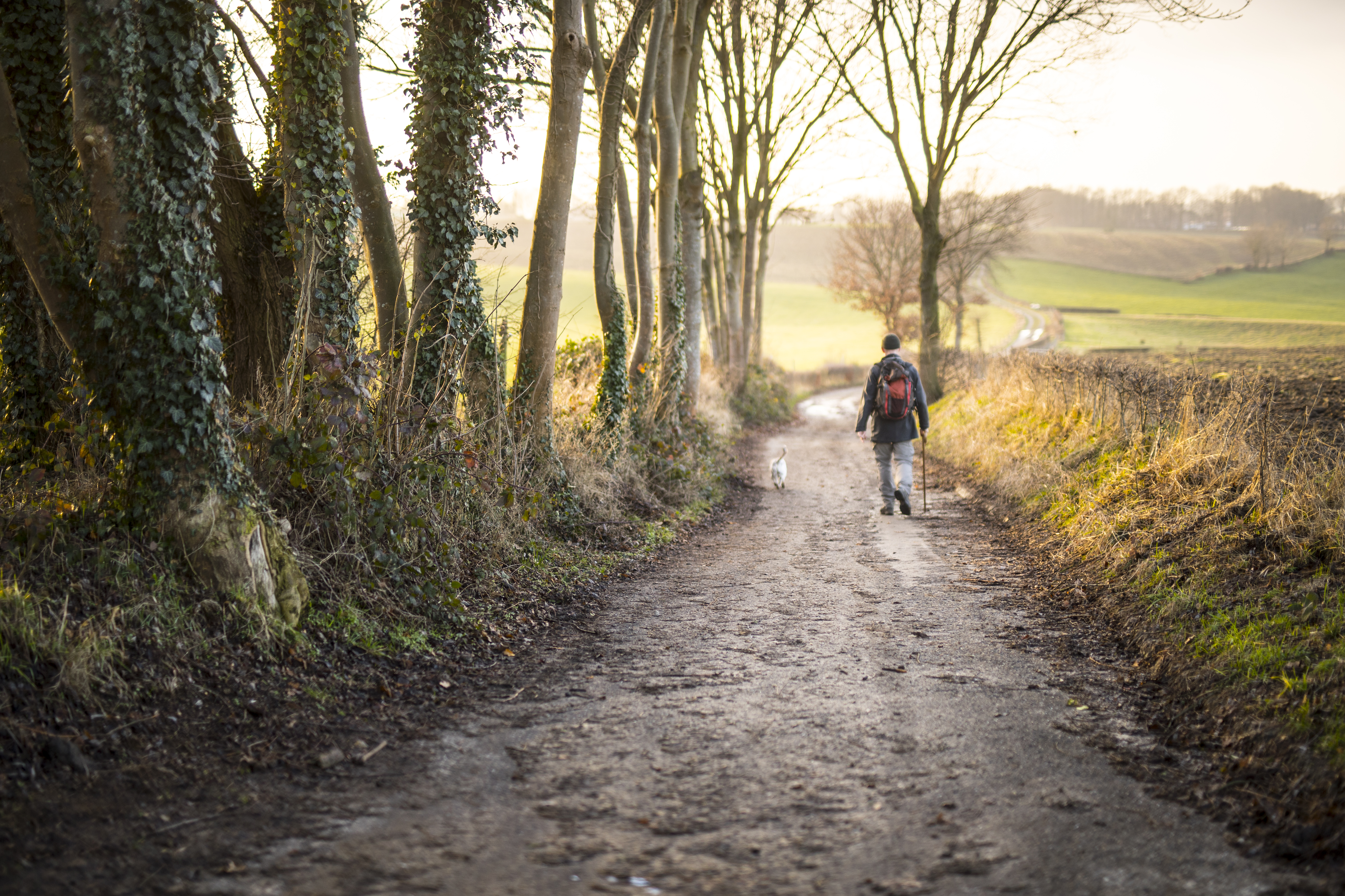 Wandelroute Van Eijsden naar de Belgische grens