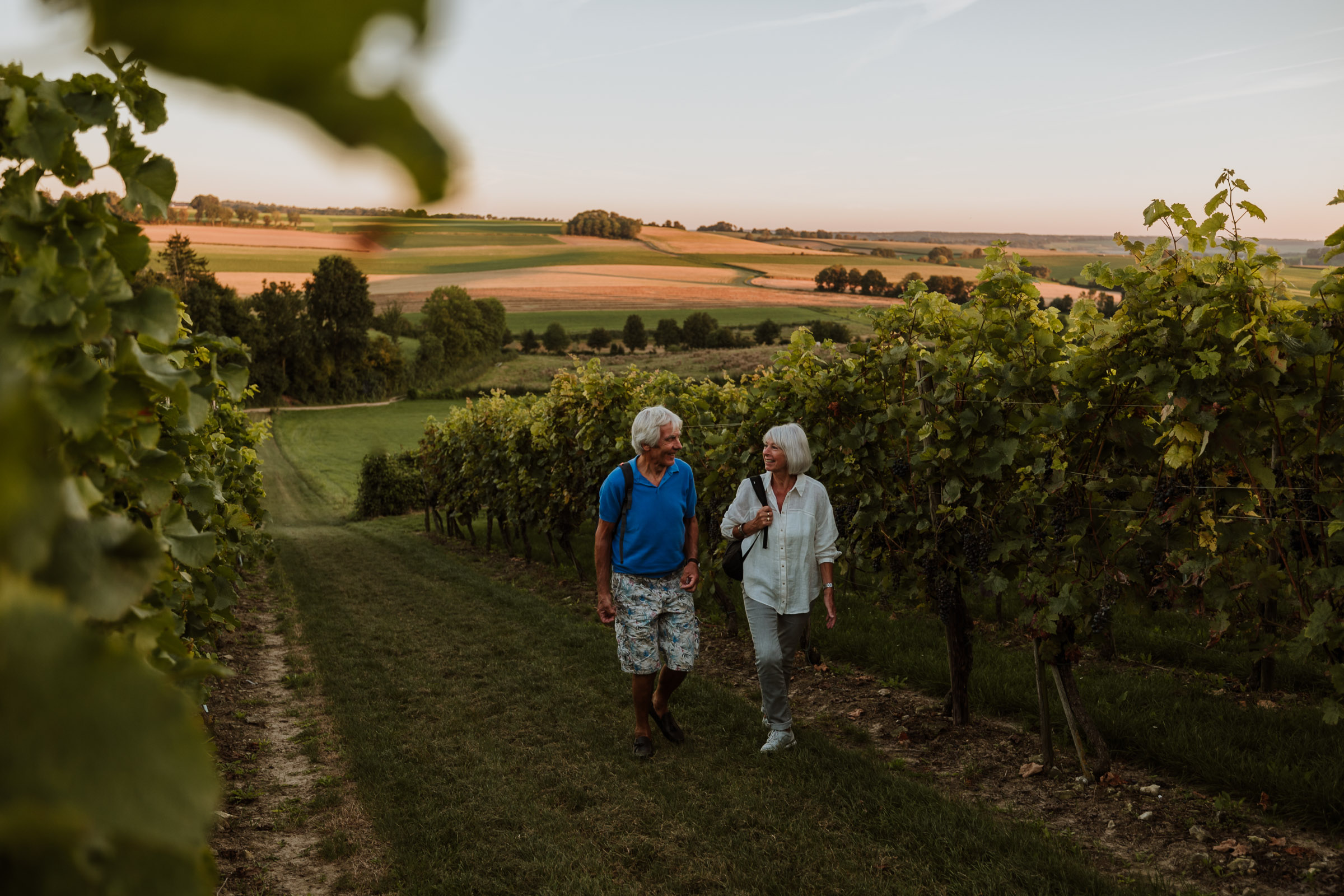 Route des Vins Land van Kalk Ubachsberg