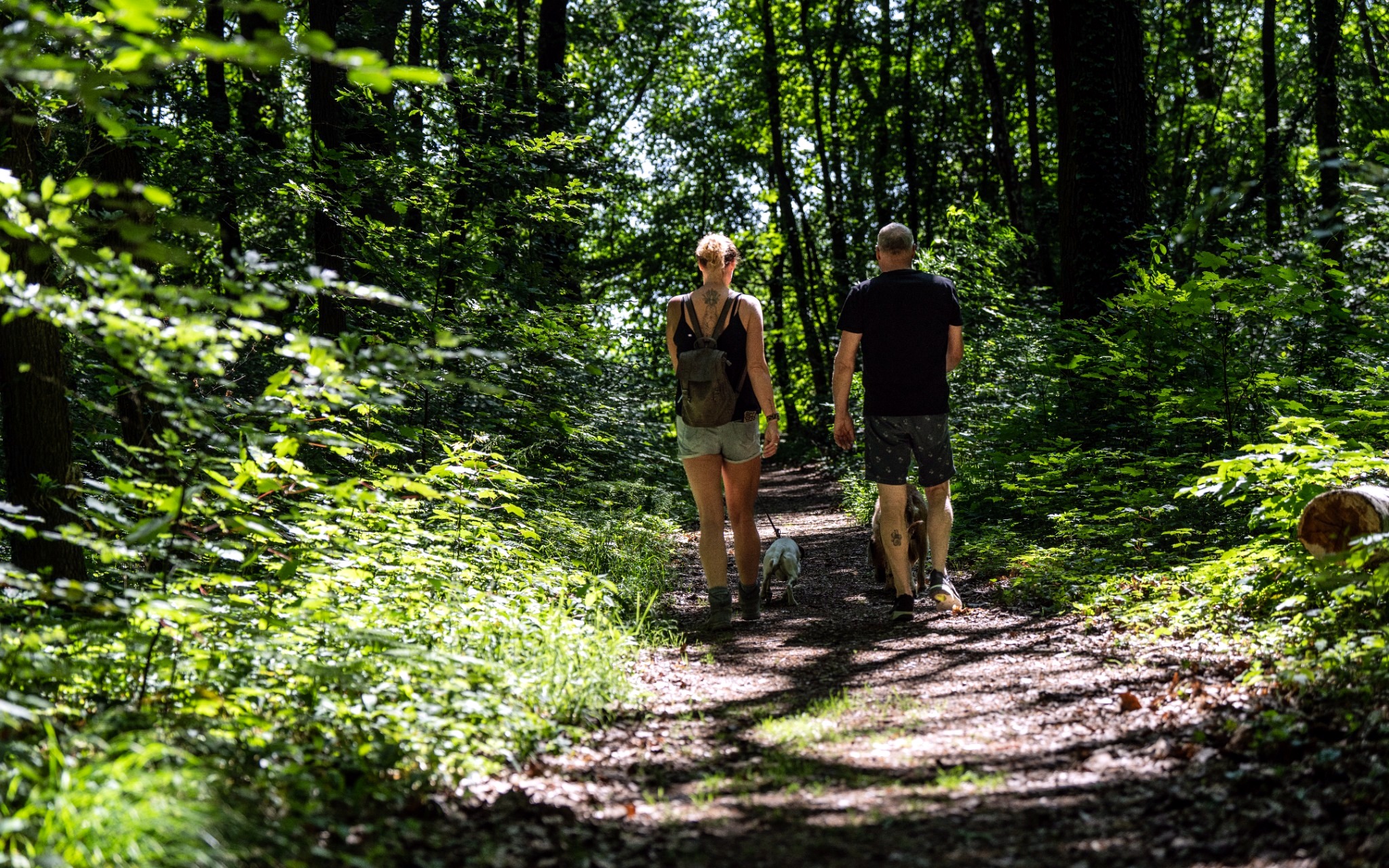 Wandelroute Eijsden-Margraten - Ommetje Segietere 