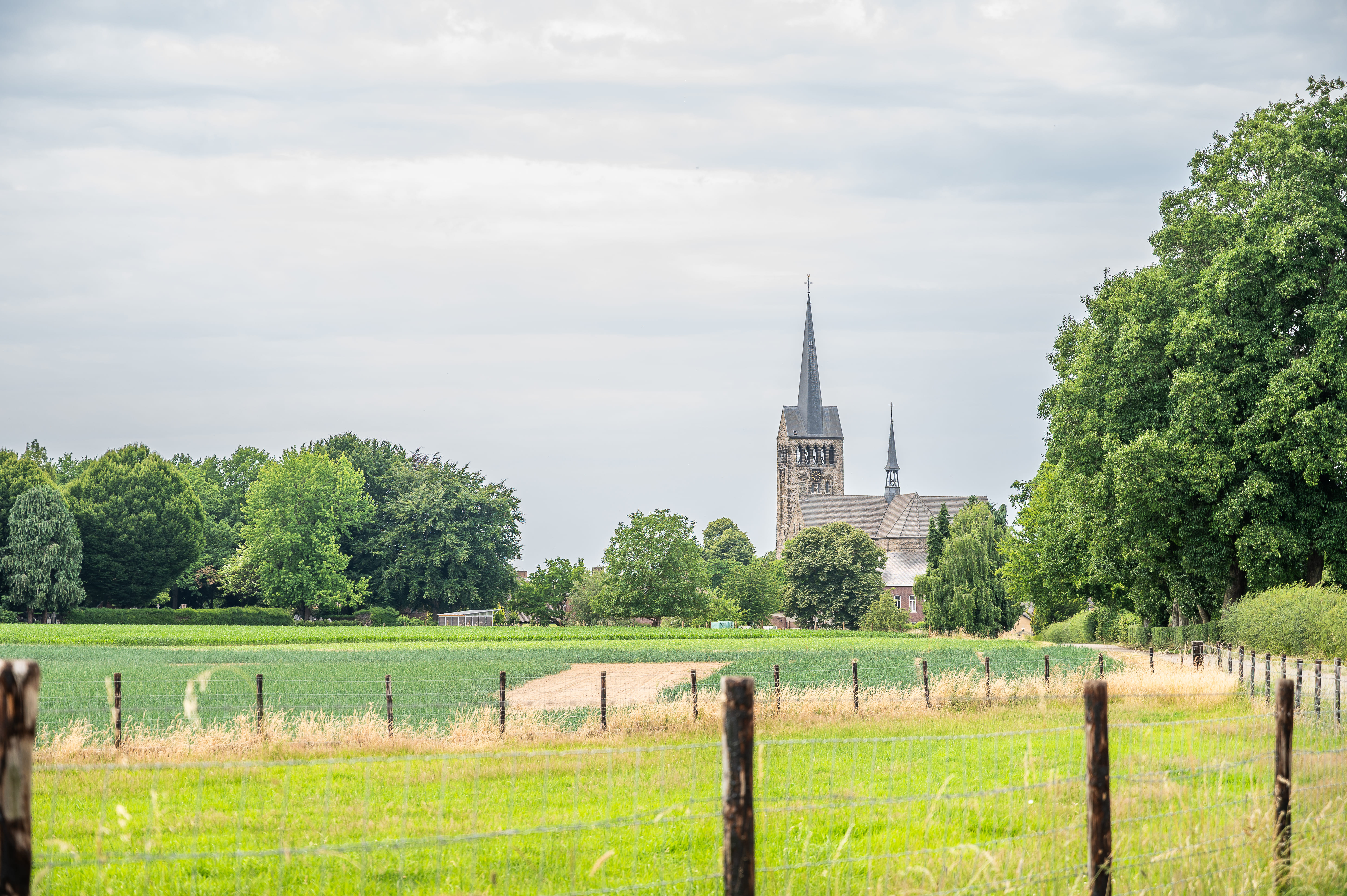 Open Monumentendag Sint-Remigiuskerk Schimmert