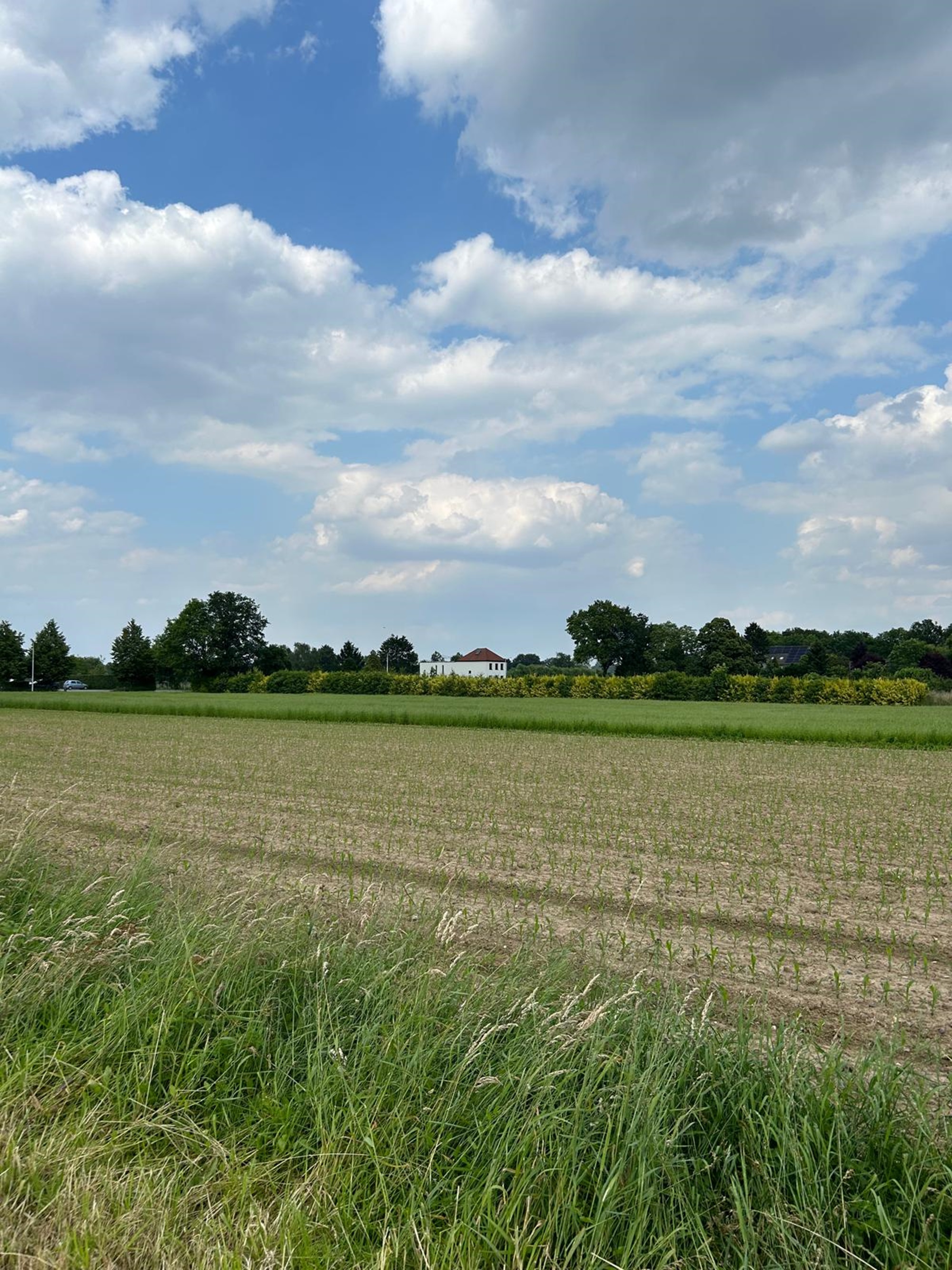 Kees en Lisa Zwaans park, bezinningsplek